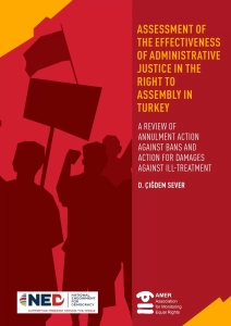 Assessment of the Effectiveness of Administrative Justice in the Right to Assembly in Turkey