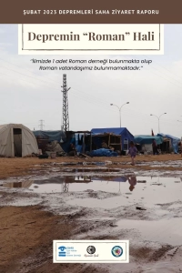 Şubat 2023 Depremleri Saha Raporu