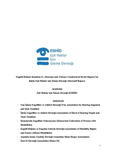 UN Disability Rights Committee Shadow Report