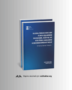 Ulusal İnsan Hakları Kuruluşlarının Ekonomik, Sosyal ve Kültürel Hakların Korunmasındaki Rolü