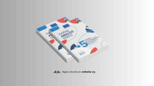 Karar Analizi Dizisi 5 - Seçimlerde Ayrımcılığa Yol Açan Kural ve Uygulamalara İlişkin TİHEK'in Kararları