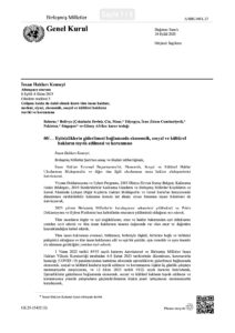 Eşitsizliklerin Giderilmesi Bağlamında Ekonomik, Sosyal ve Kültürel Hakların Teşvik Edilmesi ve Korunması