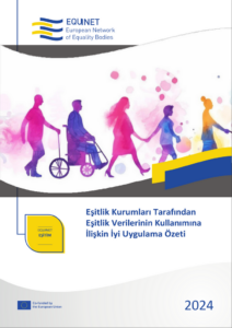 Eşitlik Verilerinin Kullanımına İlişkin İyi Uygulama Özeti